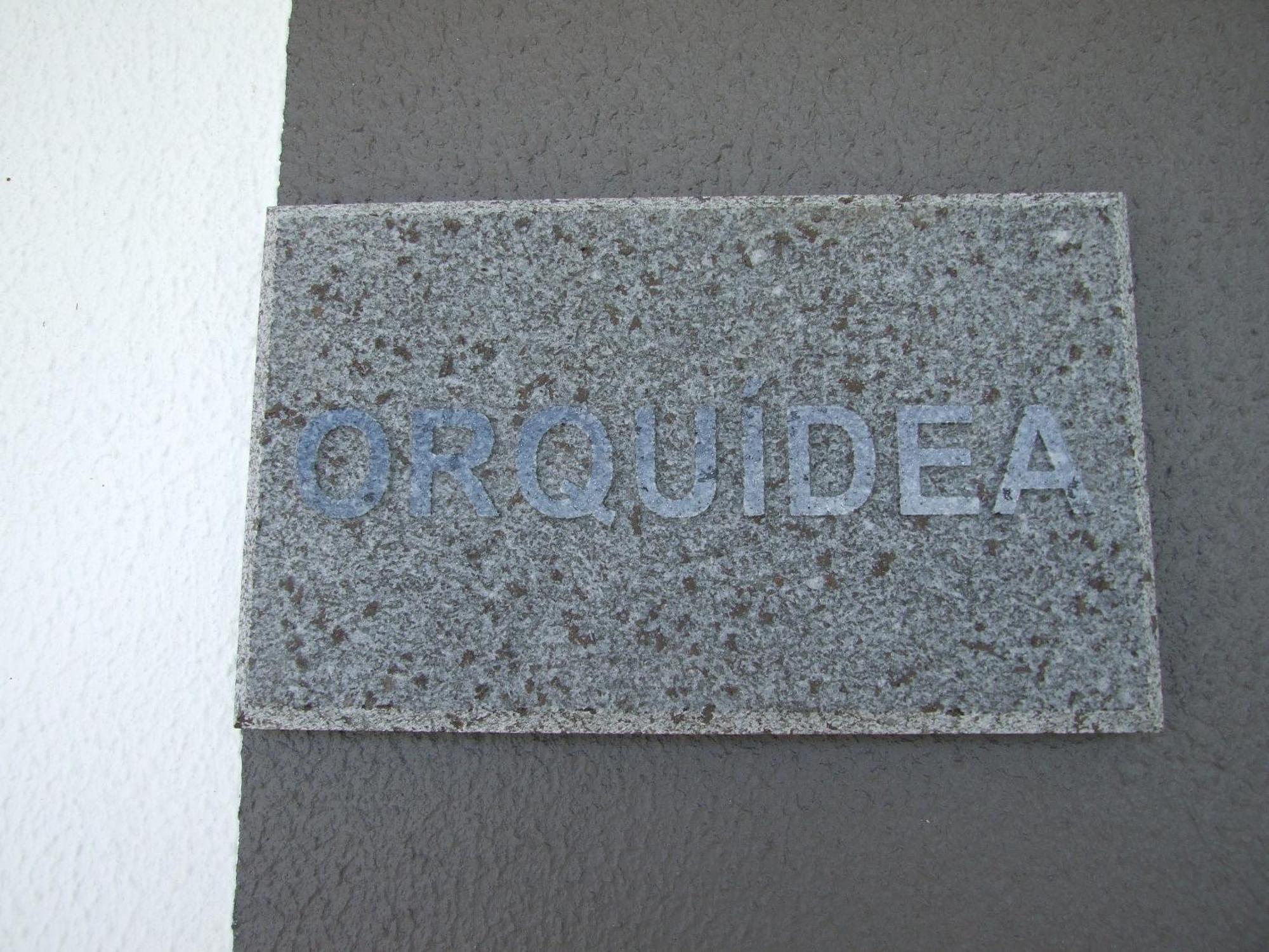 Paraiso Das Flores Estreito Da Calheta 외부 사진