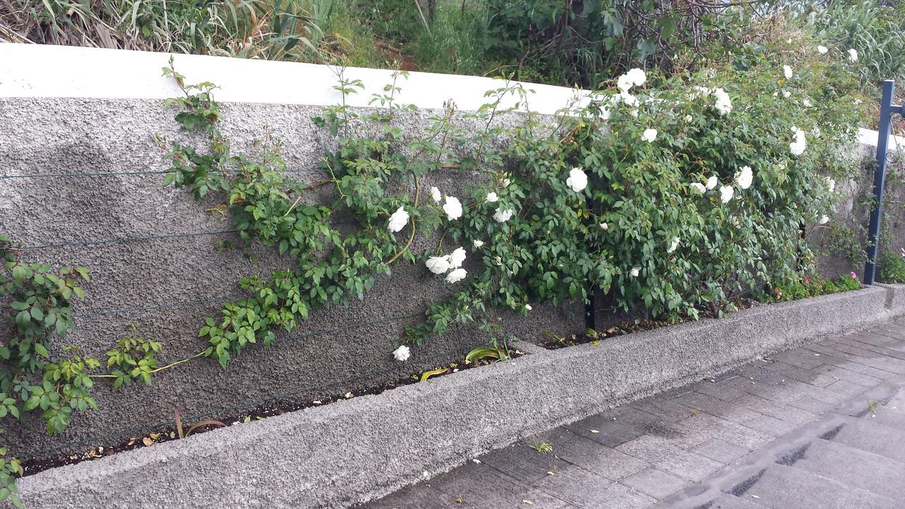 Paraiso Das Flores Estreito Da Calheta 외부 사진